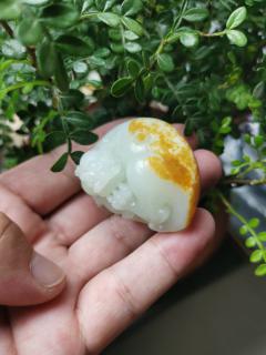 和田玉籽料貔貅,料子油润细腻做工精细,洒金皮下带白肉,使得整块玉石
